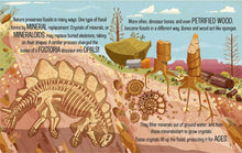 Load image into Gallery viewer, Little Leonardo's Fascinating World of Paleontology.