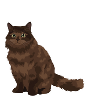 Load image into Gallery viewer, Cat Stickers