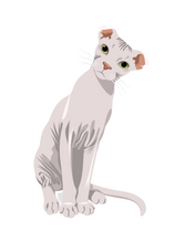 Load image into Gallery viewer, Cat Stickers