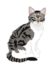 Load image into Gallery viewer, Cat Stickers