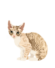 Load image into Gallery viewer, Cat Stickers