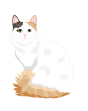 Load image into Gallery viewer, Cat Stickers