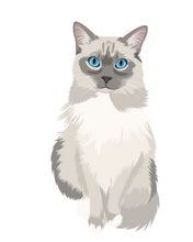 Load image into Gallery viewer, Cat Stickers