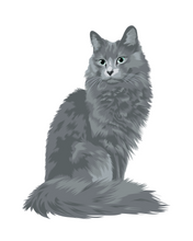 Load image into Gallery viewer, Cat Stickers