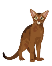 Load image into Gallery viewer, Cat Stickers