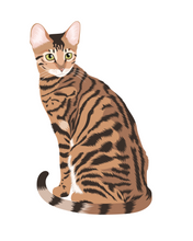 Load image into Gallery viewer, Cat Stickers