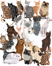 Load image into Gallery viewer, Cat Stickers