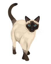 Load image into Gallery viewer, Cat Stickers