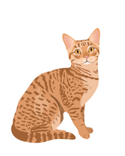 Load image into Gallery viewer, Cat Stickers