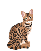 Load image into Gallery viewer, Cat Stickers