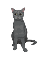 Load image into Gallery viewer, Cat Stickers