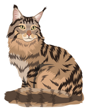 Load image into Gallery viewer, Cat Stickers