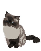 Load image into Gallery viewer, Cat Stickers