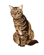 Load image into Gallery viewer, Cat Stickers