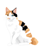 Load image into Gallery viewer, Cat Stickers