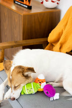 Load image into Gallery viewer, Halloween Candy Dog Toys, Set of 3.