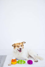 Load image into Gallery viewer, Halloween Candy Dog Toys, Set of 3.