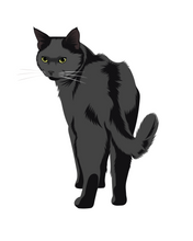 Load image into Gallery viewer, Cat Stickers