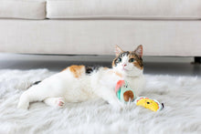 Load image into Gallery viewer, Taco Cat Toys, Set of 2.