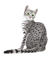 Load image into Gallery viewer, Cat Stickers