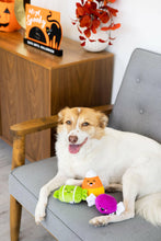 Load image into Gallery viewer, Halloween Candy Dog Toys, Set of 3.