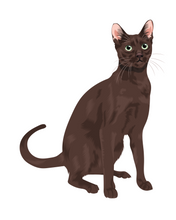 Load image into Gallery viewer, Cat Stickers