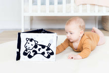 Load image into Gallery viewer, Learning Kit for Babies 0-6 Months Montessori Learning Toys.