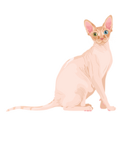 Load image into Gallery viewer, Cat Stickers