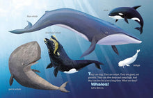 Load image into Gallery viewer, My Little Golden Book About Whales