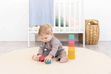 Load image into Gallery viewer, Learning Kit for Babies 6-12 Months, Montessori Learning Kit.