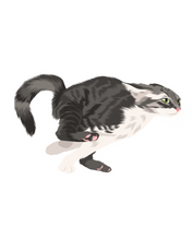 Load image into Gallery viewer, Cat Stickers