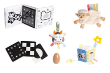 Load image into Gallery viewer, Learning Kit for Babies 0-6 Months Montessori Learning Toys.