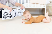Load image into Gallery viewer, Learning Kit for Babies 0-6 Months Montessori Learning Toys.