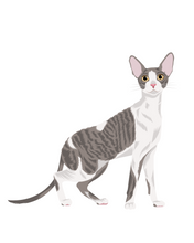 Load image into Gallery viewer, Cat Stickers