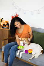 Load image into Gallery viewer, Halloween Candy Dog Toys, Set of 3.