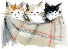 Load image into Gallery viewer, Cat Watercolor Ornaments