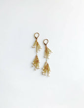 Load image into Gallery viewer, Double Long Gold Fringe Beaded Earrings.