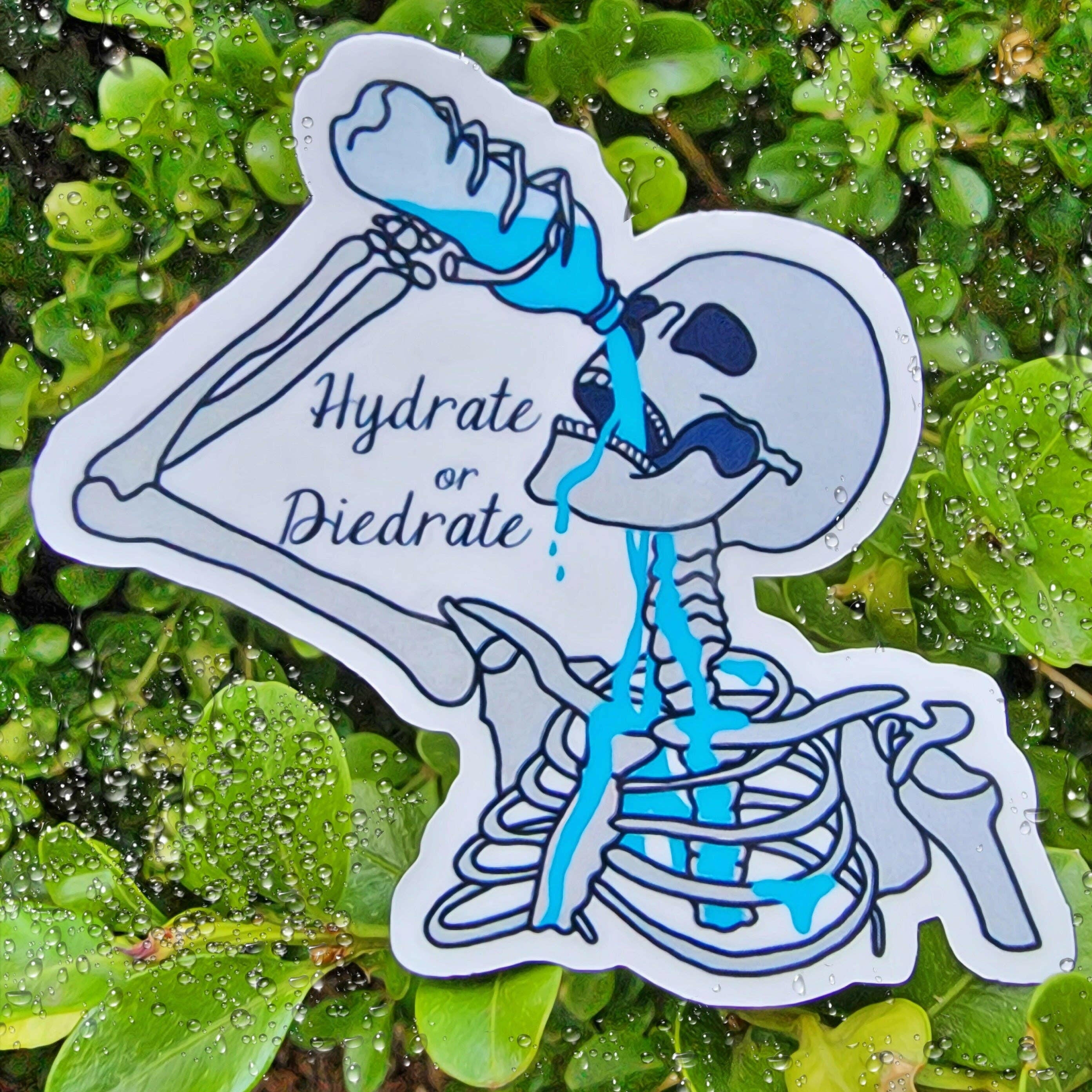 Hydrate or Diedrate Water Bottle