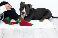 Load image into Gallery viewer, Human and Dog Matching Christmas Sock Set, Christmas Tree.