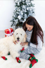 Load image into Gallery viewer, Human and Dog Matching Christmas Sock Set, Christmas Tree.