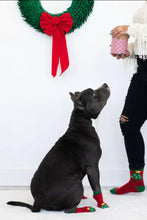 Load image into Gallery viewer, Human and Dog Matching Christmas Sock Set, Christmas Tree.