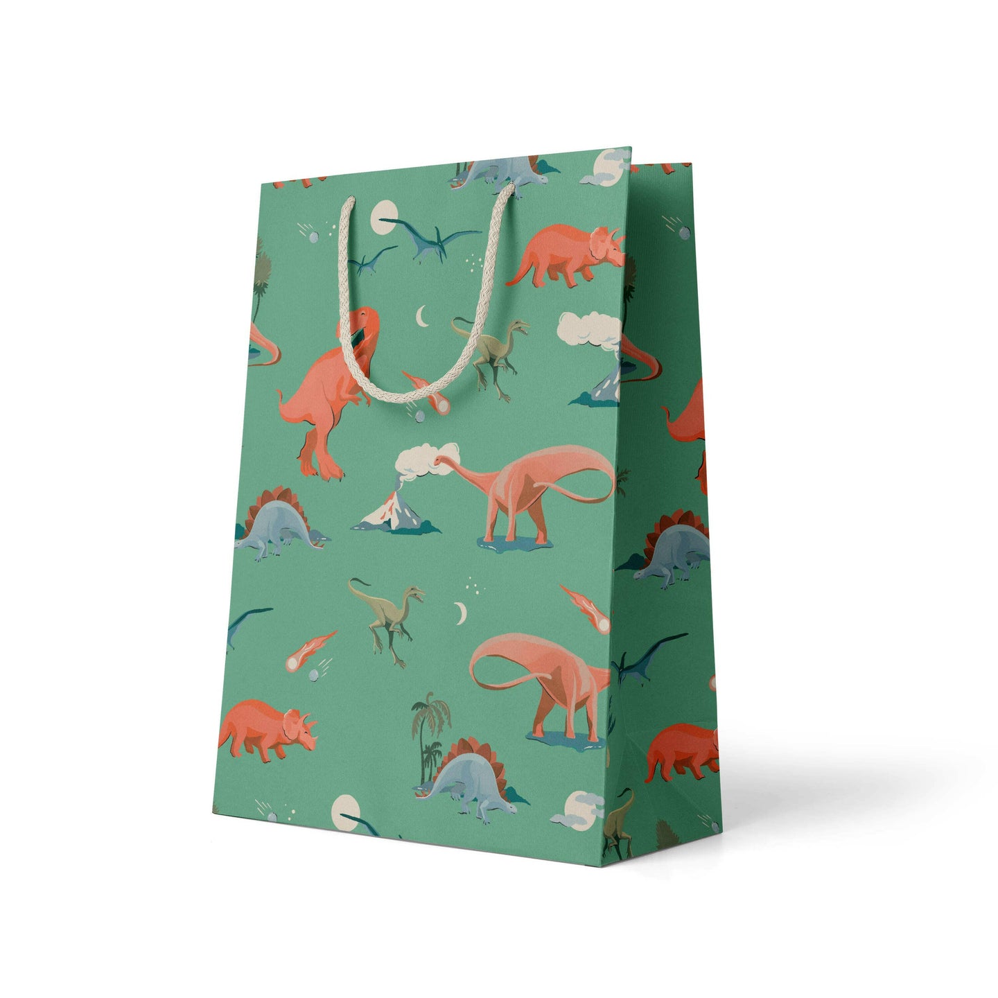 Dino Gift Bag.