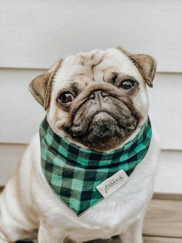 Bourbon Dog Bandana.