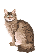 Load image into Gallery viewer, Cat Stickers
