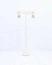 Load image into Gallery viewer, Ester Round CZ Fish Hook Earring WR Gold
