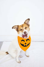 Load image into Gallery viewer, Pumpkin Dog Halloween Bandana, M/L.
