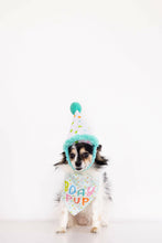 Load image into Gallery viewer, Birthday Pup S/M Bandana Hat Set.
