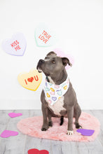 Load image into Gallery viewer, Conversation Hearts Dog Bandana, M/L
