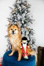Load image into Gallery viewer, Muttcracker Holiday And Christmas Dog Toy
