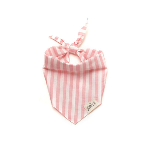 Cabana Blush Pink Dog Bandana.